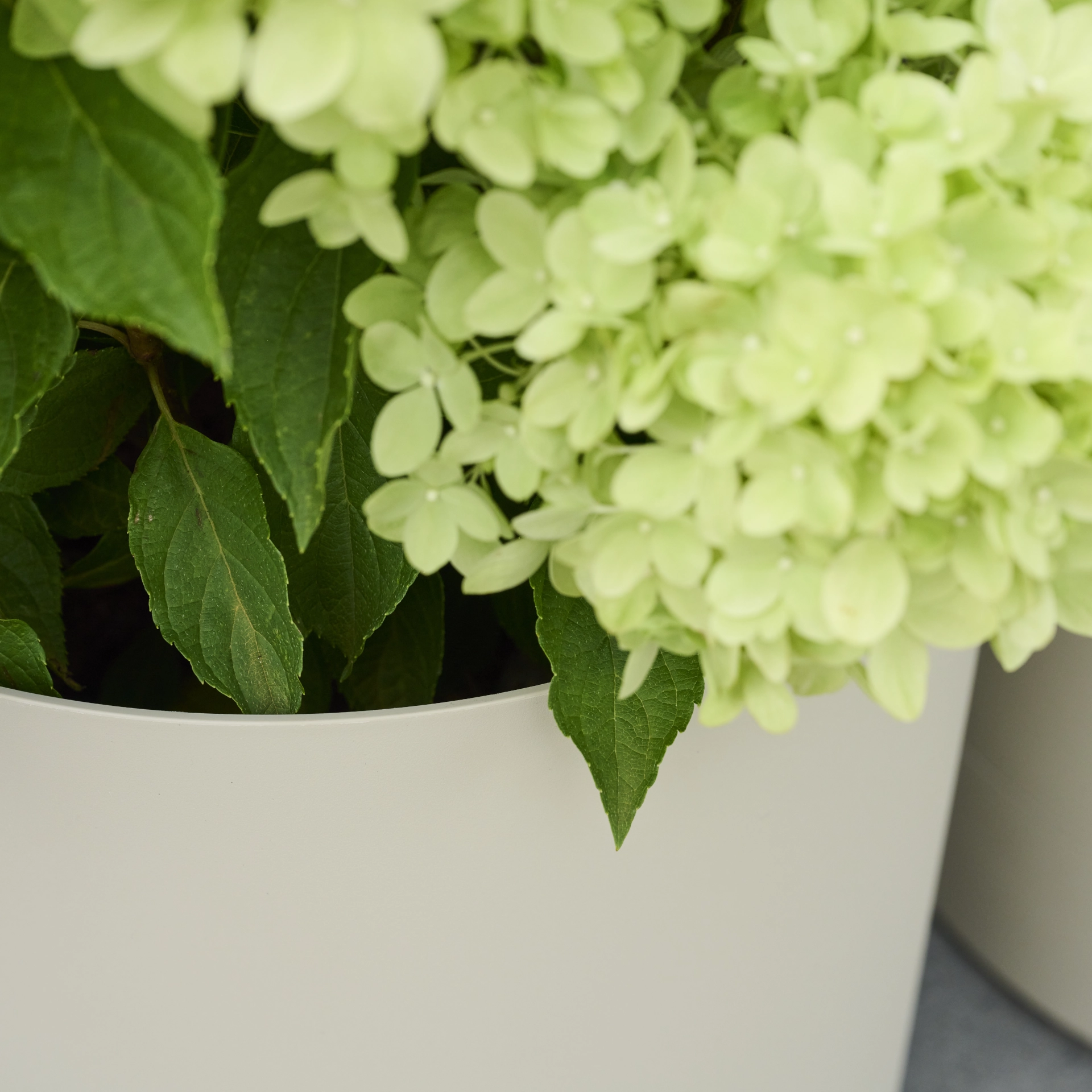 Pflanzgefäße | TARIFA Ø 32  cm creme | SIENA GA...