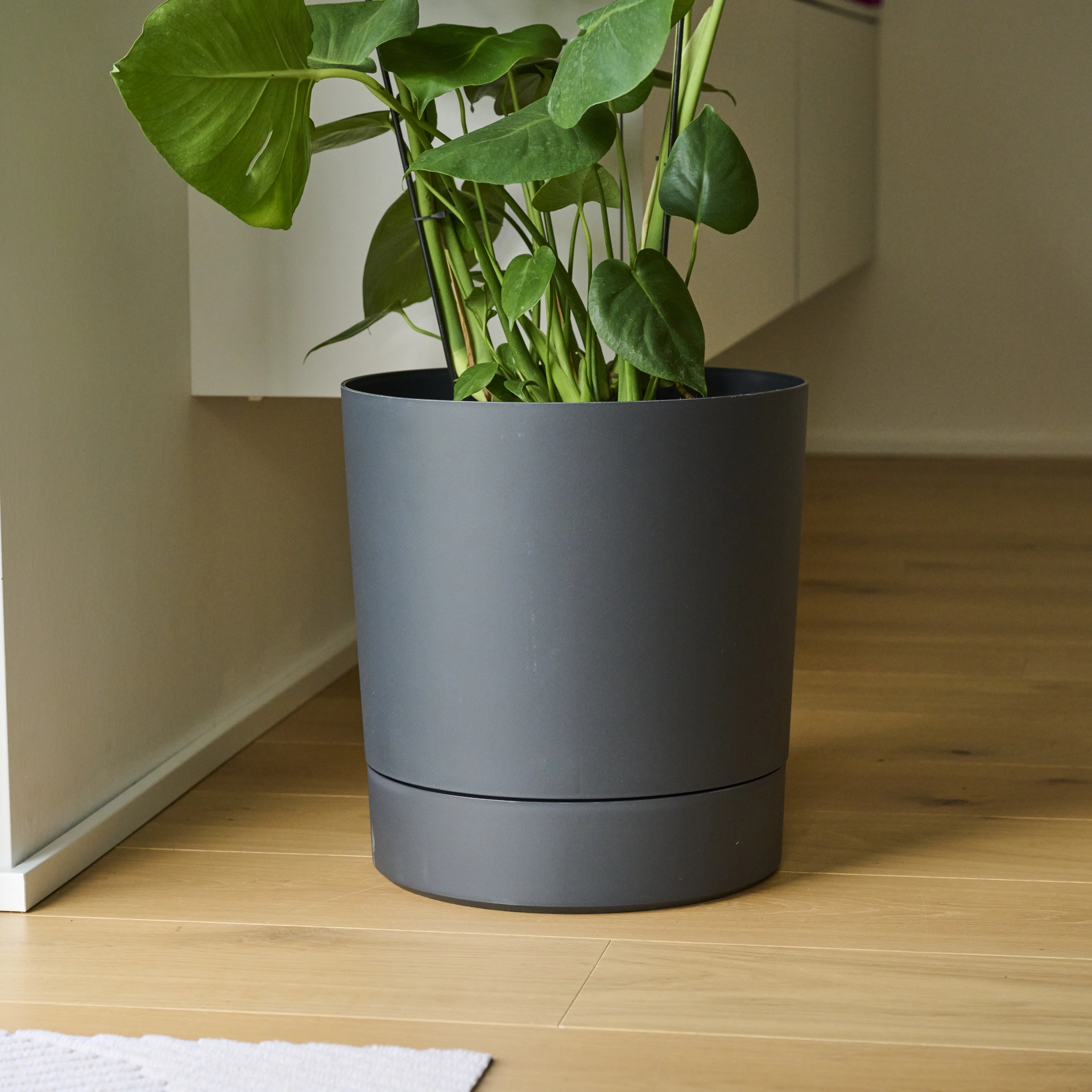Pflanzgefäße | TARIFA Ø 38  cm anthr. | SIENA G...
