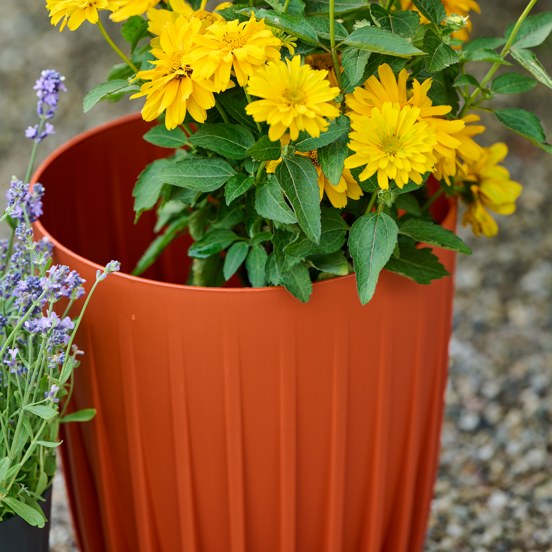 Blumentopf | Palma brick 25 x 30 cm | SIENA GARDEN