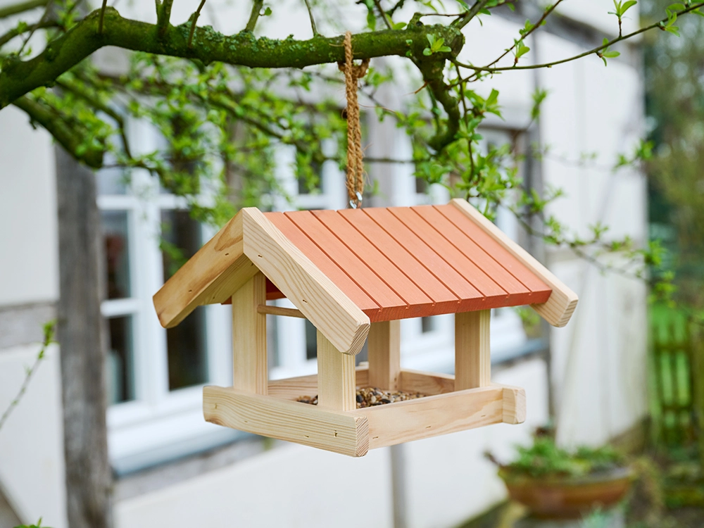Tiere im Garten