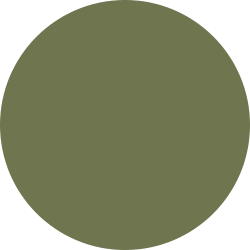 Symbol Kreis in olive