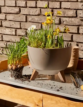 Rundes, graues Pflanzgefäß auf Holzfüßen mit gelben und weißen Frühlingsblumen auf einem Arbeitstisch vor Ziegelwand.
