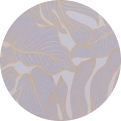 Symbol Kreis in tropic
