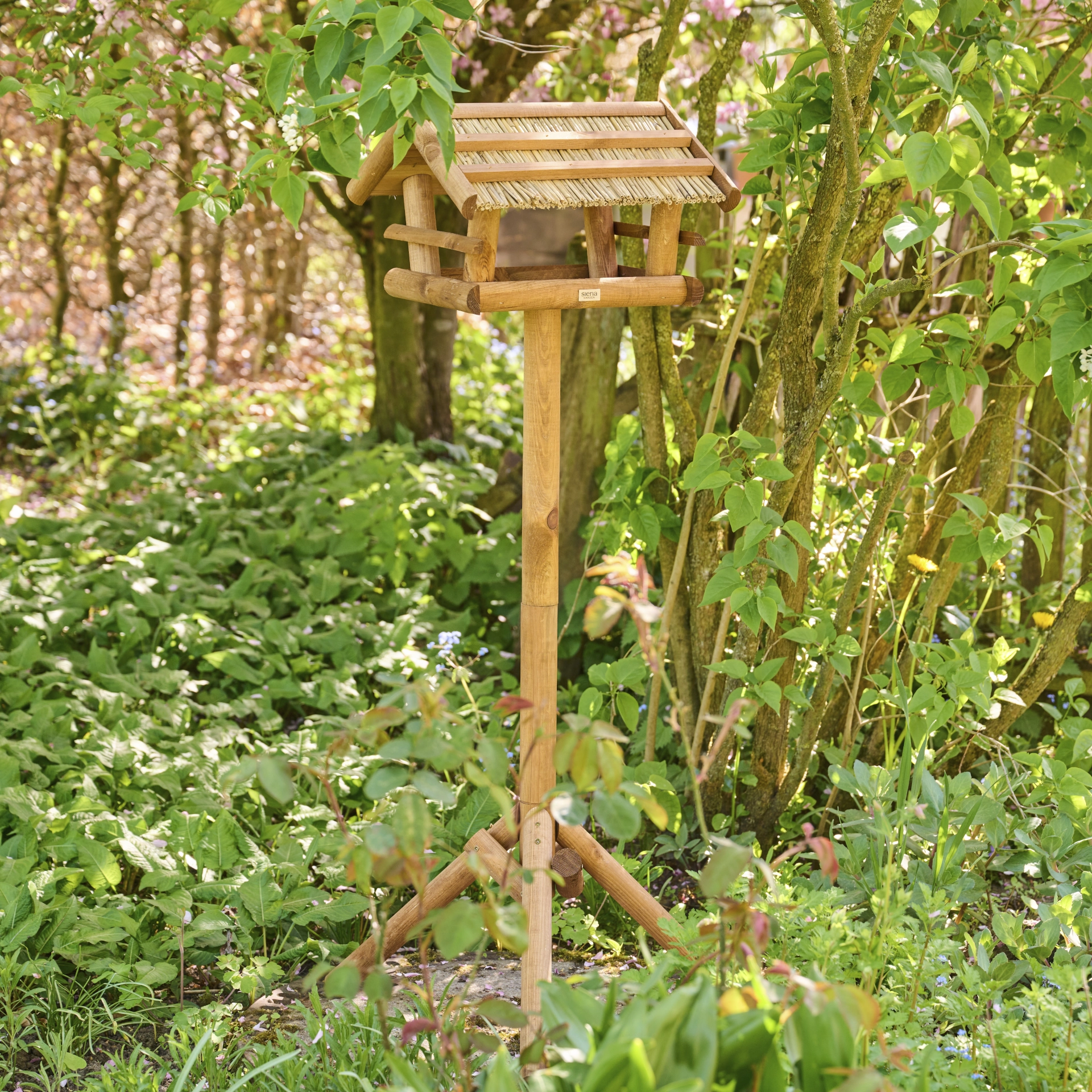 Vogelhuizen | Vogelhuis Tino met standaard | SIENA...