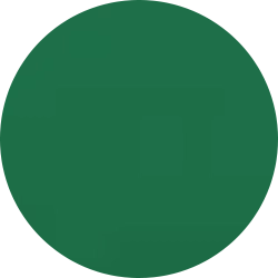 Symbol Kreis in grün