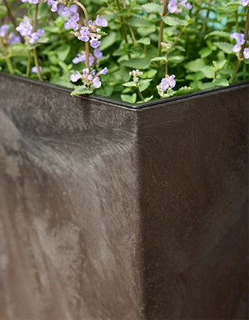 Quadratisches, dunkelgraues Pflanzgefäß mit feiner Oberflächenstruktur und kleinen violetten Blütenpflanzen im oberen Bereich.