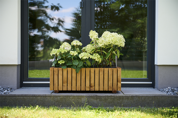 Blumenkasten mit Pflanzen auf Terrasse