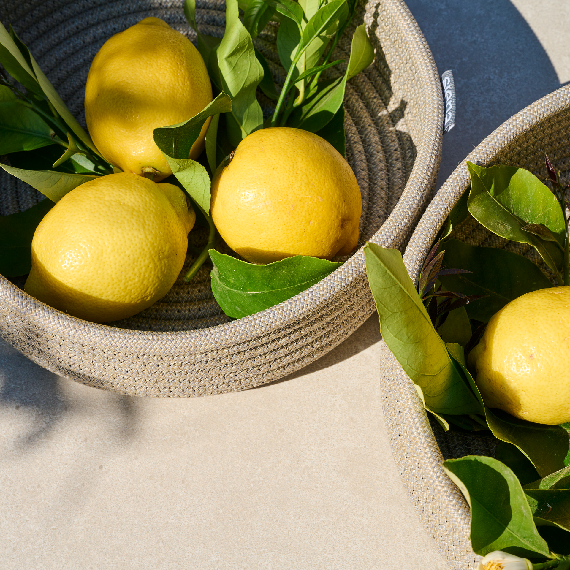 BOWL Dekoschalen Set | 2-teilig | Ø25 und Ø30 cm...